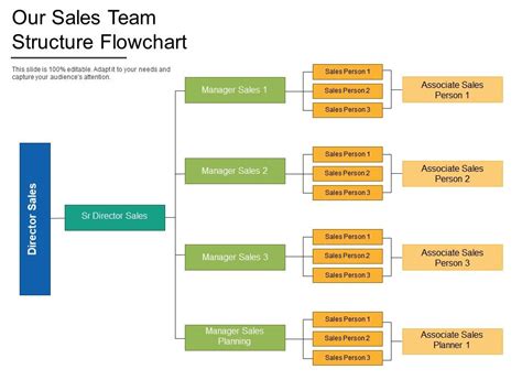 Our Sales Team Structure Flowchart | PowerPoint Slide Presentation Sample | Slide PPT | Template ...