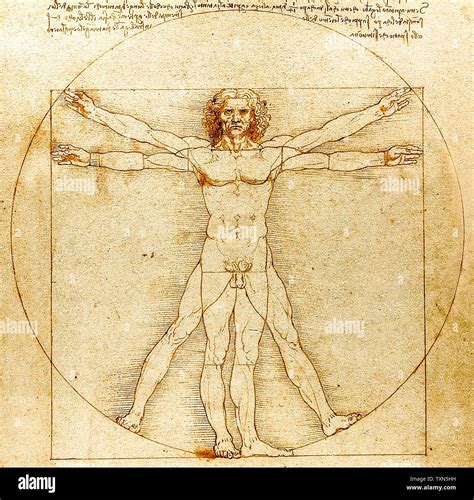 Leonardo Da Vinci, Uomo vitruviano, disegno, circa 1492 Foto stock - Alamy