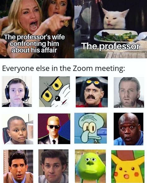 Zoom Meeting : r/memes