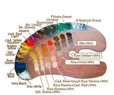 Paint Colors Palette for Oil Painting Portraits - The Painting Gallery