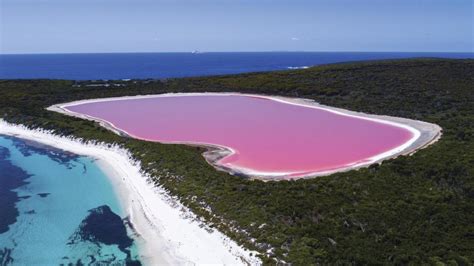 Shire of Esperance in talks to restore tourist attraction Pink Lake to historic hue | Augusta ...