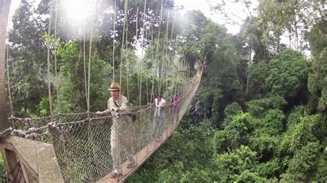 Canopy Walk Ghana Rev - YouTube