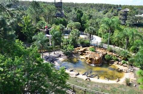 Gatorland | Today's Orlando