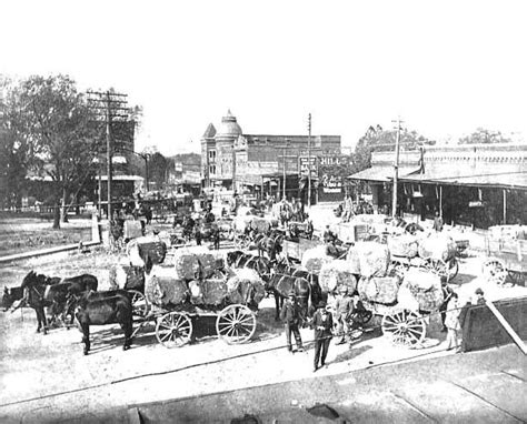 Cotton in the Covington, Tennessee square ca. 1910 | Tennessee, Historic buildings, Memphis