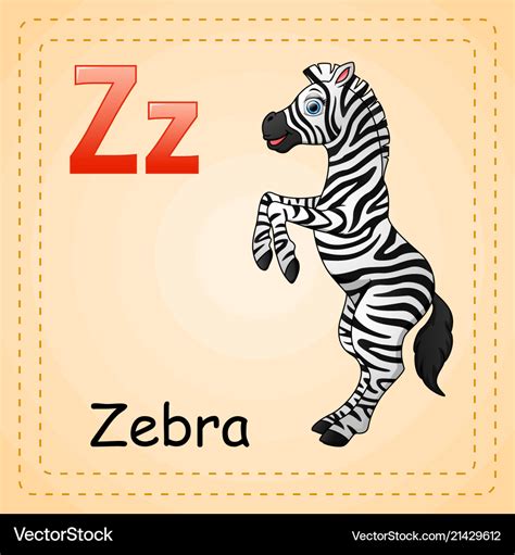 Animals alphabet z is for zebra Royalty Free Vector Image