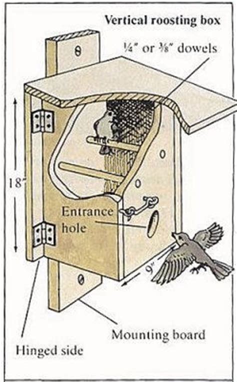 Bird Roost - Nighttime Shelter for Winter Birds