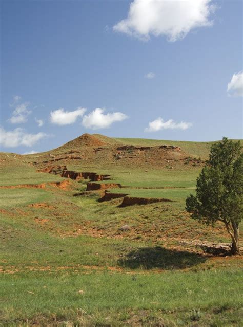 Wind Cave National Park | Cave System, Bison, Wildlife | Britannica