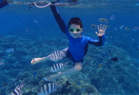 Bora Bora Snorkeling Tour with Pure Snorkeling Review