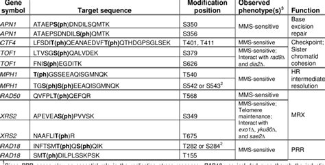 Phosphorylation sites and genes selected for further characterization 1 ...