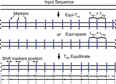 An overview of the oligonucleotide design scheme. The software first... | Download Scientific ...