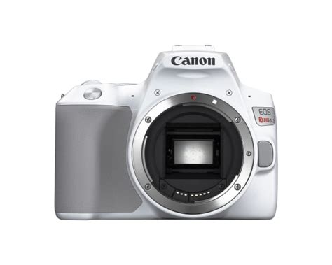 Canon EOS Rebel SL3 Reviews, Pricing, Specs