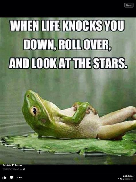 Frog saying (With images) | Funny quotes, Life quotes, Quotes to live by