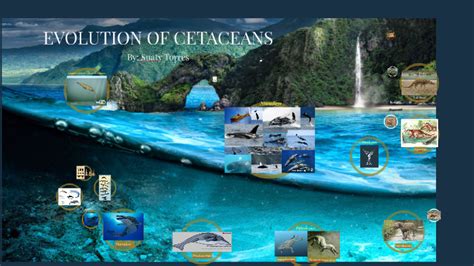 EVOLUTION OF CETACEANS by Suaty Torres on Prezi