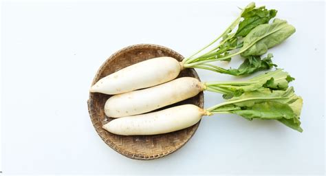 Daikon Radish Benefits: Nutrition And Recipes Combined