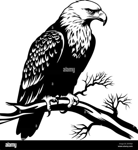 Vector illustration of a black silhouette of a standing eagle. Isolated white background. Eagle ...