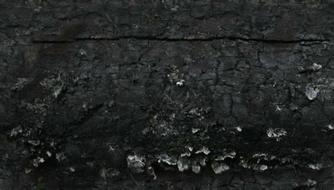 Free photo: Burned Wood Texture - Black, Burned, Charcoal - Free ...