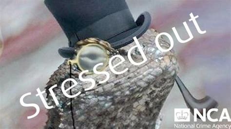 Stressed out: Lizard Squad takes down UK law enforcement website in ...