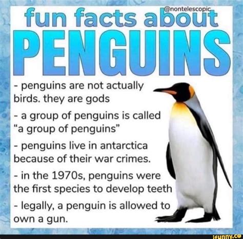 MS penguins are not actually birds. they are gods a group of penguins is called "a group of ...