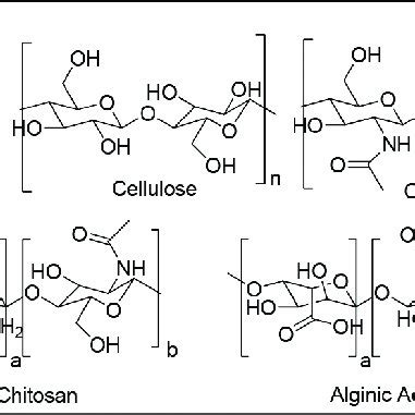 Examples of mono-saccharide and related biopolymers. | Download Scientific Diagram