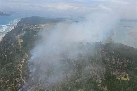 SunLive - Matakana Island fire in monitoring phase - The Bay's News First