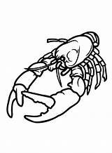 20  Crawfish Coloring Pages Free Printable PDF & Online Coloring sketch template