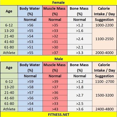 Everything about muscle mass percentage with charts - FITNESS SPORTS ...