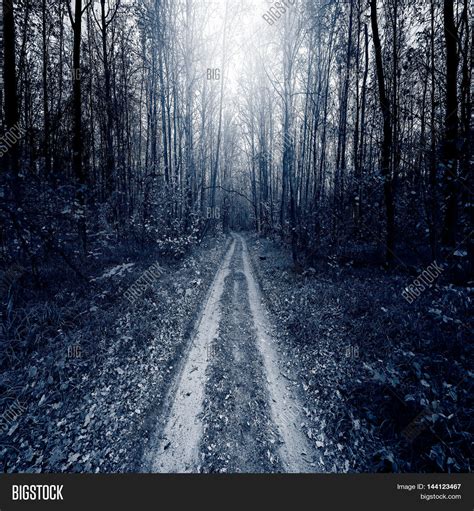 Path Deep Forest Night Image & Photo (Free Trial) | Bigstock