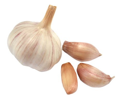 Garlic PNG Transparent Garlic.PNG Images. | PlusPNG