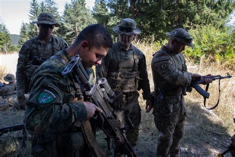 DVIDS - Images - Soldiers from 10th Mountain Division and Bulgarian ...