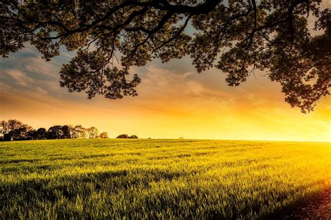 Sunset Dusk Meadow - Free photo on Pixabay | Landscape photography, Farm pictures, Sunset wall art