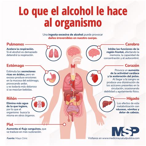 Lo que el alcohol le hace al organismo - Infografía