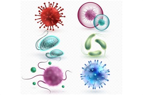 Types Of Microorganisms With Names