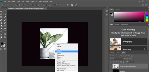 Transform Tool Photoshop | How to Use Transform Tool in Photoshop?