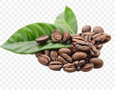 Arabica Coffee Espresso Kona Coffee Coffee Bean, PNG, 1920x1500px ...