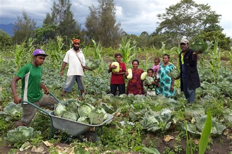 Papua New Guinea – Asia-Pacific Farmers' Forum