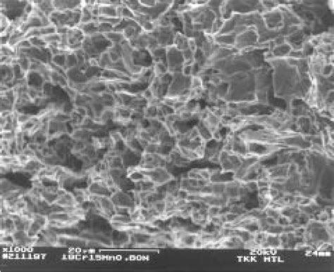 Ductile fracture surface from an edge-cracked area of 19Cr-15Mn-0.80N... | Download Scientific ...