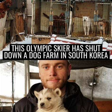 Guy Saves 90 Dogs From Dog Meat Trade | While competing in the Winter Olympics, this guy saved ...