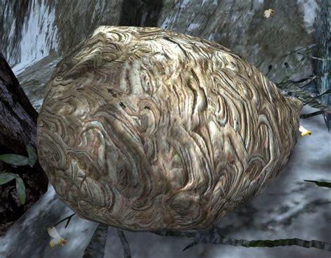 Angry Wasp Nest - Guild Wars 2 Wiki (GW2W)