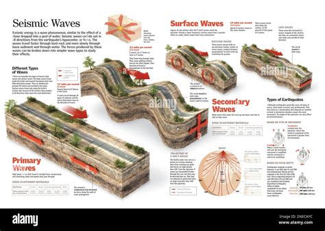 Infographic about different seismic wave types produced from the ...