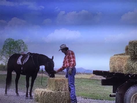 Pin on heartland | Horses, Animals, Heartland