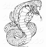 Garter Snake Drawing  Free Download On ClipArtMag sketch template