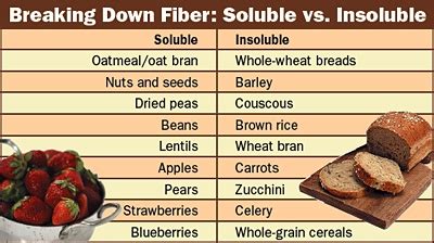 The Fundamentals of Fiber