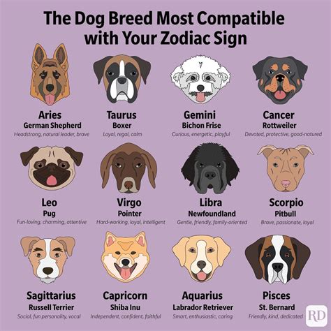 The Best Dog Breed for You, Based on Your Zodiac Sign | Flipboard