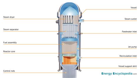 NPP BWR reactor, schematic diagram - Images - Free Downloads - Energy Encyclopedia