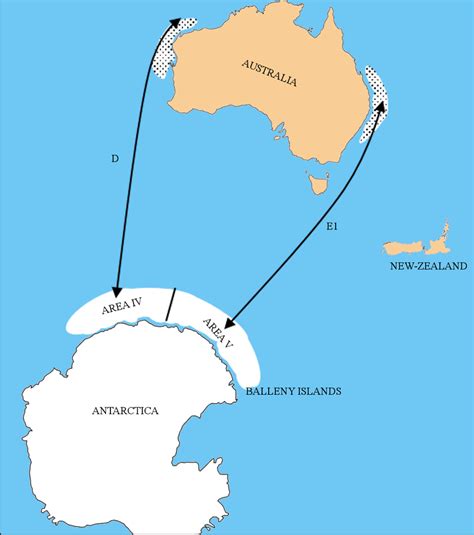 Migration, feeding grounds and breeding grounds of the Australian ...