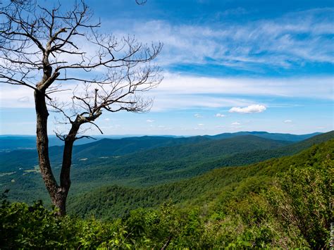 Skyline Drive, Shenandoah National Park - again ;-) — Darklighthouse ...