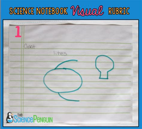 Science Notebook Picture Rubric — The Science Penguin