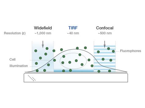 cellTIRF-4Line system | TIRF Microscopy Solutions | 奥林巴斯生物显微镜