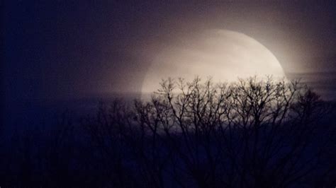 Rare full moon on Halloween will be seen across the US for the first ...