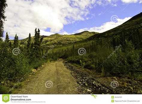 Alaska wilderness hiking stock image. Image of foliage - 45444181